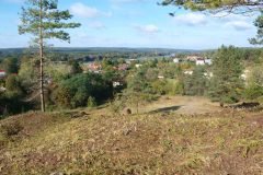 15_P_KULESZA