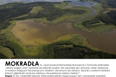 Mokradla