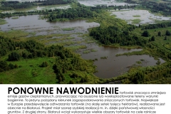 Ponowne-nawodnienie