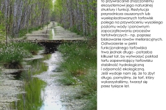 Restytucja-przyrodnicza