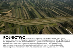 Rolnictwo