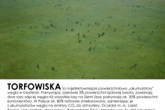 Torfowiska