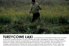 Turzycowe-laki