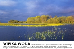 Wielka-woda