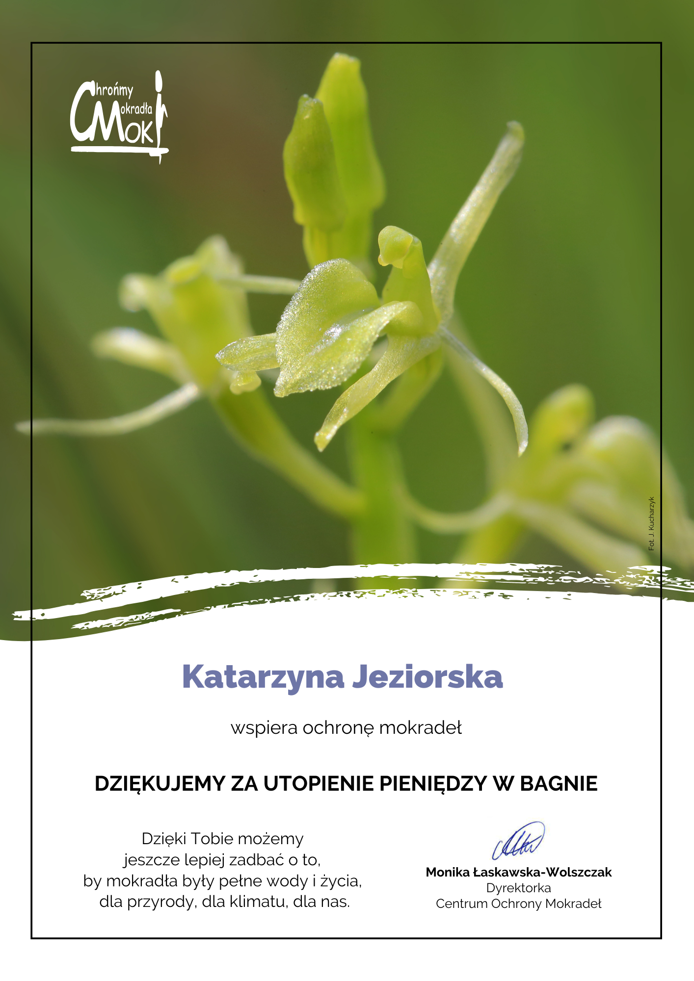 10_lipiennik