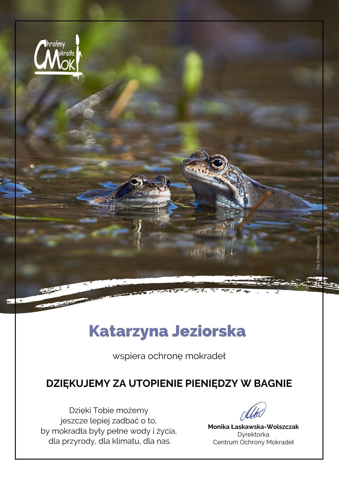 50_zaby
