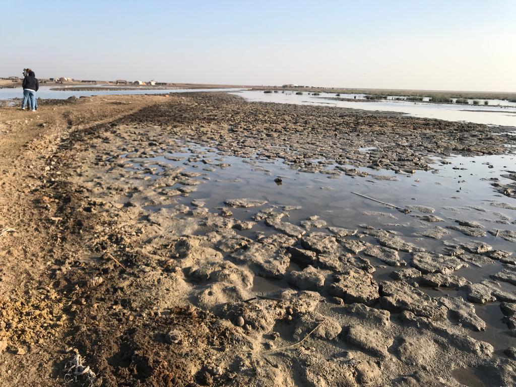Iraq4