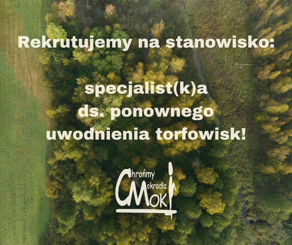 rekrutacja LIFE