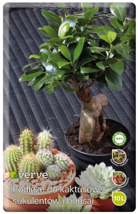 19. Verve Podłoże beztorfowe do kaktusów sukulentów i bonsai 10L