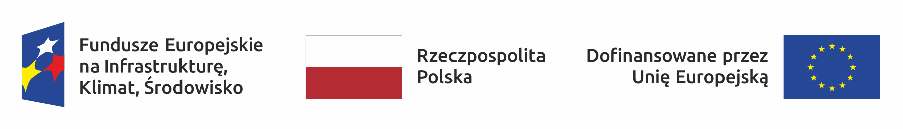 logo FEnIKS