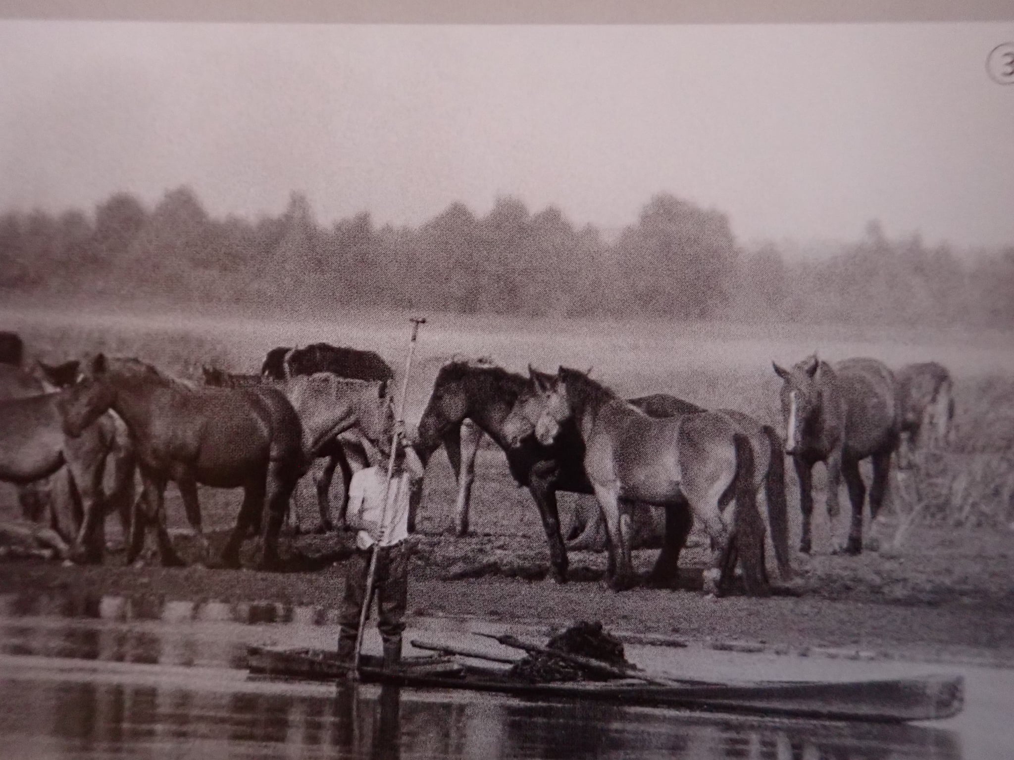 wwd 2025 ramsar