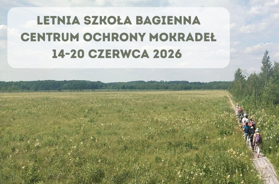 Prowadzimy nabór do Letniej Szkoły Bagiennej 2026