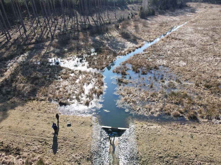 Studium przypadku: Odtworzenie stosunków wodnych na terenie torfowisk w Nadleśnictwie Woziwoda