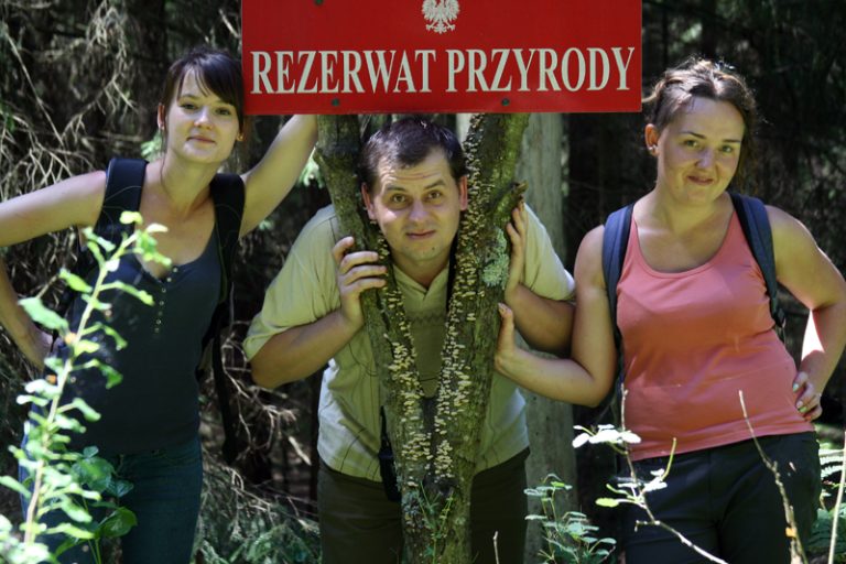 2014 Zelwa