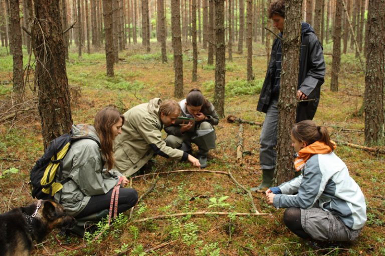2011 Płaska